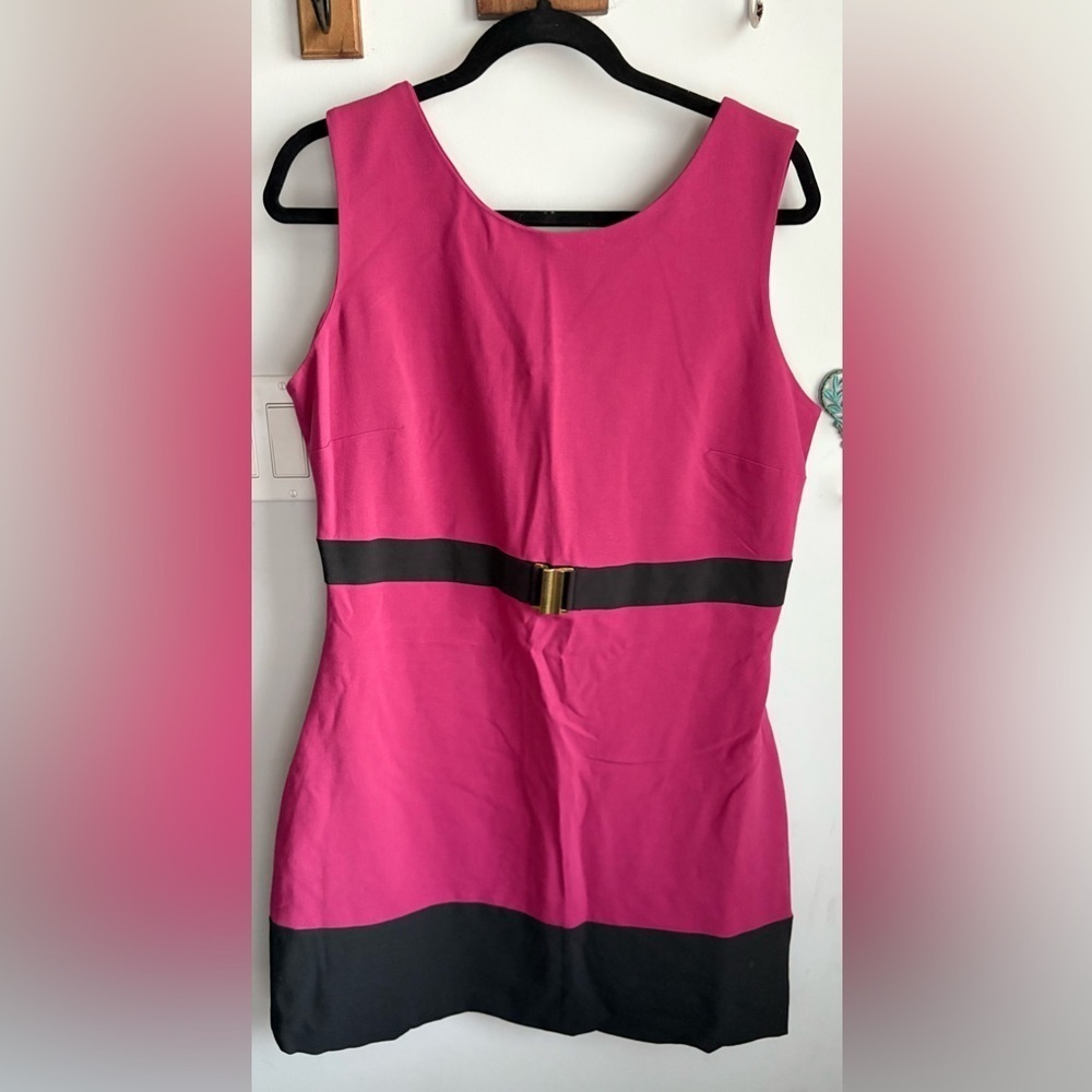 Pink and Black Sleeveless Dress with Gold Accent